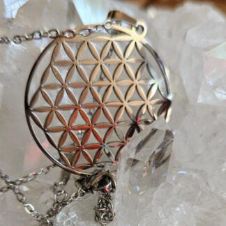 Edelstahl-Halskette mit Blume des Lebens Anhänger in Silber