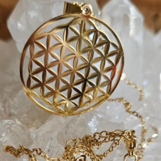 Edelstahl-Halskette mit Blume des Lebens Anhänger in Gold