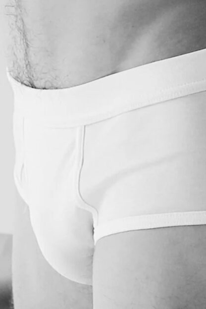 The White Briefs: Platan Briefs – Bild 2