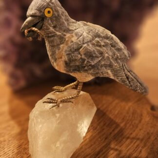 Bergkristall mit Graphit-Vogel 290gr (unikat)