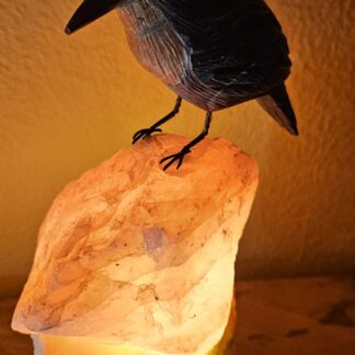 Rosenquarz mit Graphit-Vogel 1064gr (unikat)